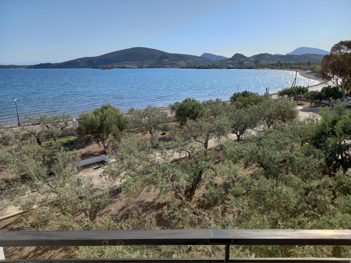 Dardiza Stay Ερμιόνη Εξωτερικό φωτογραφία