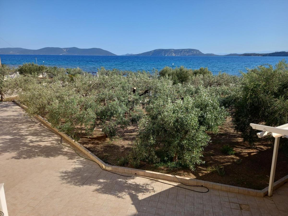 Dardiza Stay Ερμιόνη Εξωτερικό φωτογραφία