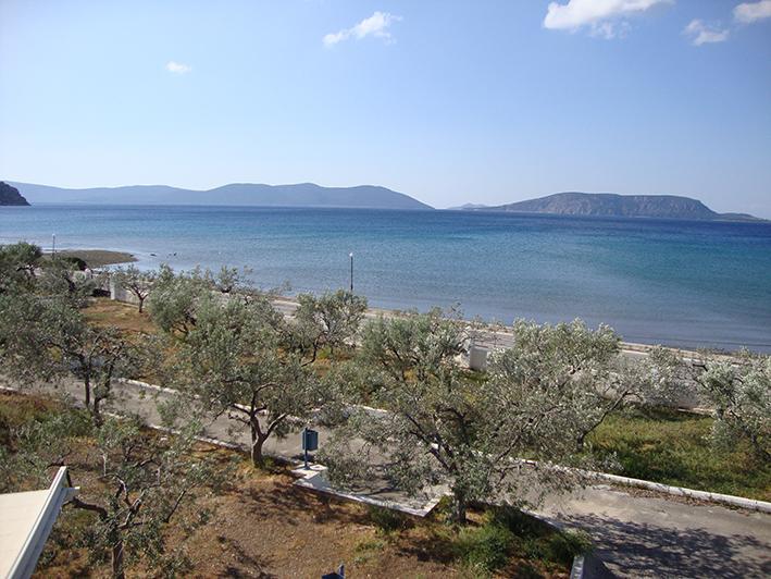 Dardiza Stay Ερμιόνη Εξωτερικό φωτογραφία
